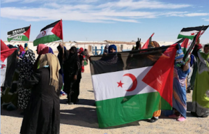 Saara Ocidental: a última colônia africana