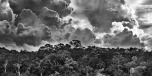 ‘Amazônia’: exposição de Sebastião Salgado inspira e clama por ações