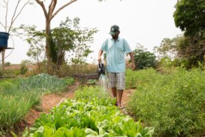 ENCONTRO DEBATE MUDANÇAS NO SISTEMA DE PRODUÇÃO  E FOME EM MT