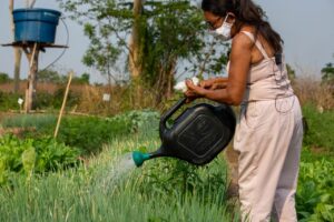 Certificação dos orgânicos em debate em Mato Grosso
