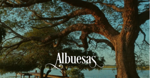 “Albuesas”, um filme-poema transitando entre universos espampanantes