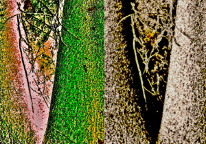 Funarte SP recebe a exposição ‘Ecoartivismo Sampa’