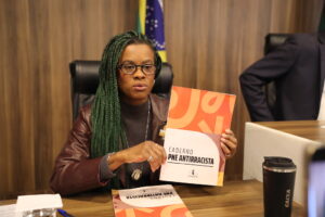 Carol Dartora apresenta o PNE antirracista em audiência pública na Alep
